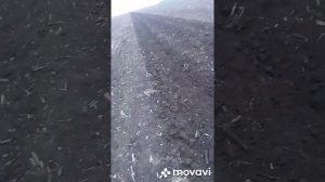 Безотвальная обработка,плуг Мальцева.Переоборудование ПЛН. Первый выезд.