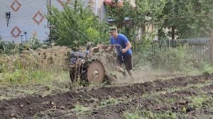 Копаем картошку мотоблоком