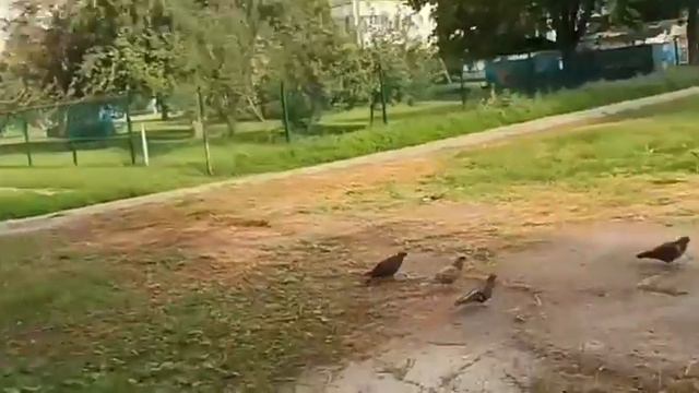 Харьков Салтовка 26 июля 2023 года Доброе утро! смотреть онлайн