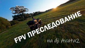 Преследование квадроцикла на FPV дроне|Footage FPV Drone|Футаж c квадрокоптера|полет на Dji Avata 2