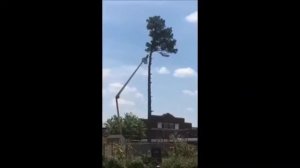 Придурки с БЕНЗОПИЛОЙ 1