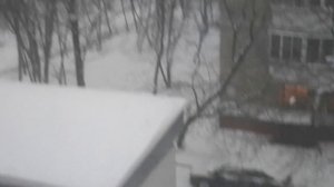 Метель 2. От 18.01.2024. VID_20240118_163915