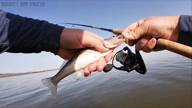 ЭТА ПРИМАНКА СДЕЛАЛА ЭТУ РЫБАЛКУ\СУДАК НА МИКРОДЖИГ\Рыбалка 2020 Казахстан Кокшетау оз Копа смотреть онлайн