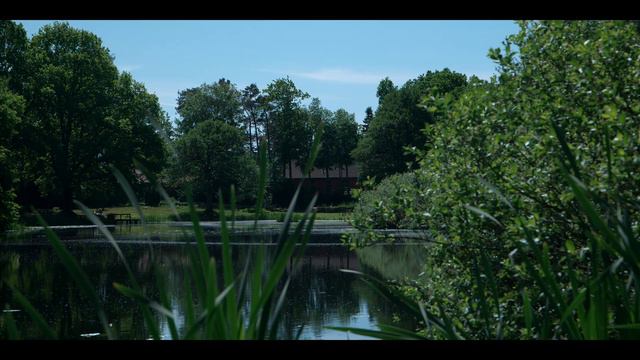 Test Lumix S5, Lumix S Pro 24-70 mm 2.8, 5.9K 12 bit recording on Ninja V. смотреть онлайн