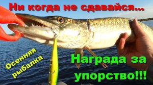 Ни когда не сдавайся... Награда за упорство!!! Осенняя рыбалка