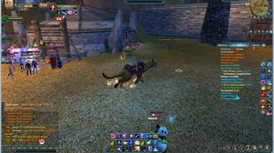 Очки активности в ПВ