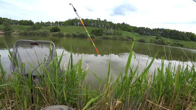 Русская болтушка против китайской Херабуны. Кто победит? Маленький секрет. смотреть онлайн