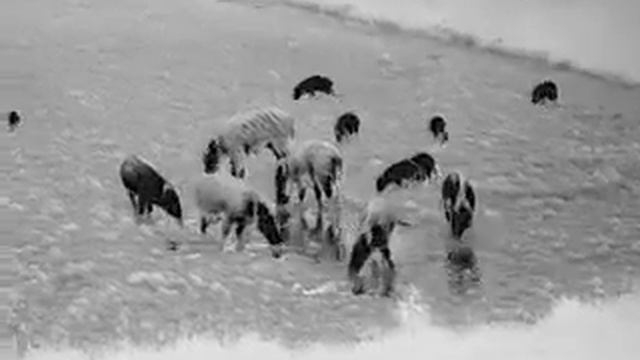 Guide TrackIR 50 смотреть онлайн