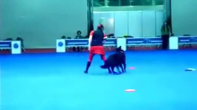 Мила и Ева смотреть онлайн