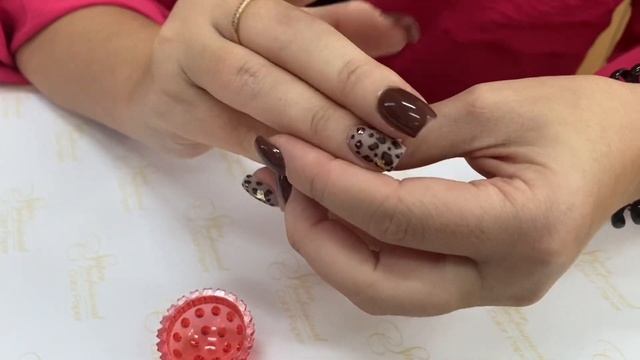 Консультация для педагогов и родителей: Использование су-джок в жизни ребенка