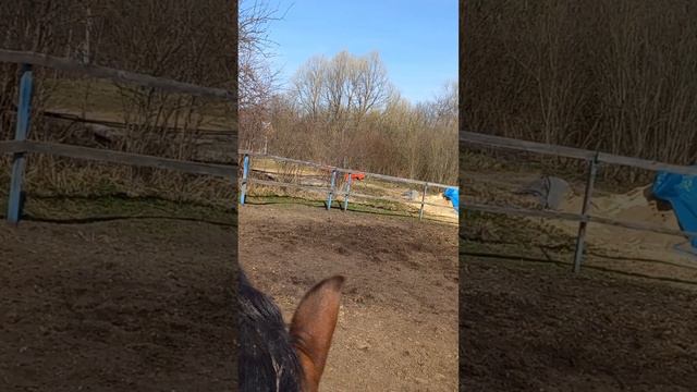 Пока нет новых успехов !! смотреть онлайн