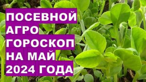 Посевной агрогороскоп на май 2024 года Sowing agrohoroscope for May 2024