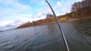 Насмотрелся PAL ! ЛЕТАЮЩАЯ ЩУКА! Рыбалка на спиннинг без эхолота и мотора на КРУПНУЮ РЕЗИНУ! часть