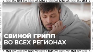Свиной грипп выявлен во всех регионах РФ - Москва 24