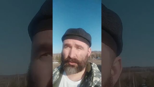 сбор берёзовых почек смотреть онлайн