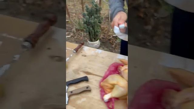 Читайте в описании?+7919 998-55-99 Камалудин смотреть онлайн