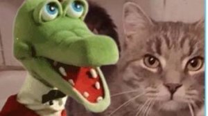 КРОКОДИЛ ГЕНА