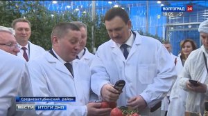 В Волгоградской области собрали первый урожай томатов из теплицы пятого поколения