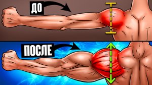 10 СОВЕТОВ ДЛЯ ЛУЧШЕЙ ПРОКАЧКИ ПЛЕЧ!