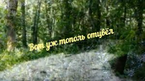 Новый проект Вот уж тополь отцвёл.mp4
