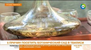 5 ПРИЧИН ПОСЕТИТЬ БОТАНИЧЕСКИЙ САД В ТБИЛИСИ. Эфир от 26.09.17