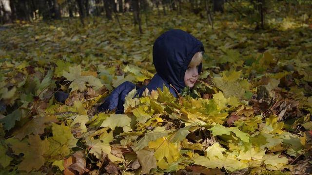 Слайд-шоу из фотографий. Осень. Октябрь. Парк смотреть онлайн