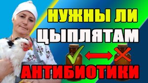 ЗАЧЕМ цыплятам АНТИБИОТИКИ с первых дней жизни.