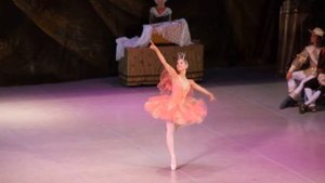 "Спящая красавица" - Фея Смелости