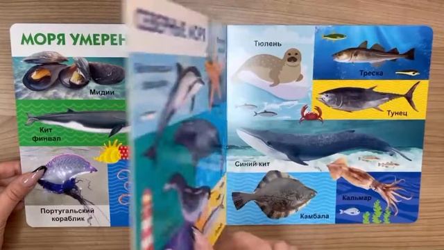 Морские обитатели. Твои любимые книжки смотреть онлайн