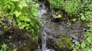 Во глубине Алтайских гор. Загадочное село Тюнгур