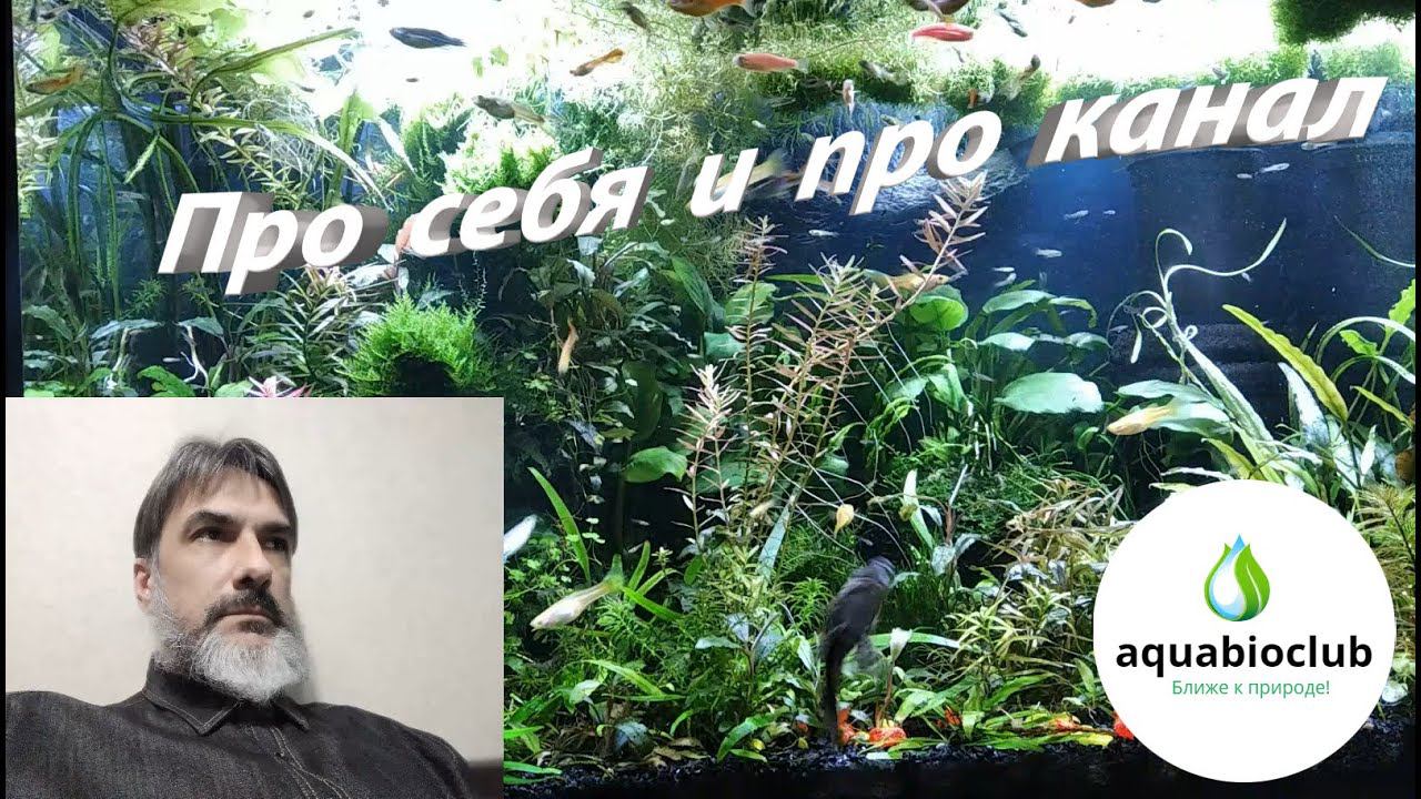 Про себя и про канал аквариумистики. смотреть онлайн