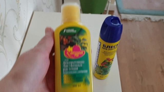 ???☘Уход за комнатными цветами зимой. смотреть онлайн