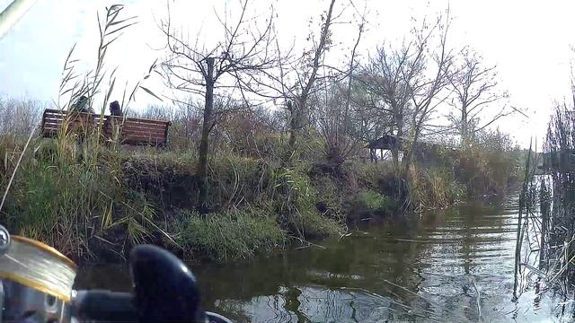 Пруд Шевченково, не клюет карась, поплыли за хищником