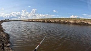 ЖОР ЩУКИ. Рыбалка которую ждал всё лето! Ловля щуки на спиннинг в августе на малой реке.