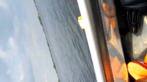 ПВХ лодка Флагман 420 и Сузуки 9.9 (15)