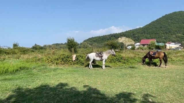 5 мин в Аше?ЛАЗАРЕВСКОЕ СЕГОДНЯ?СОЧИ. смотреть онлайн