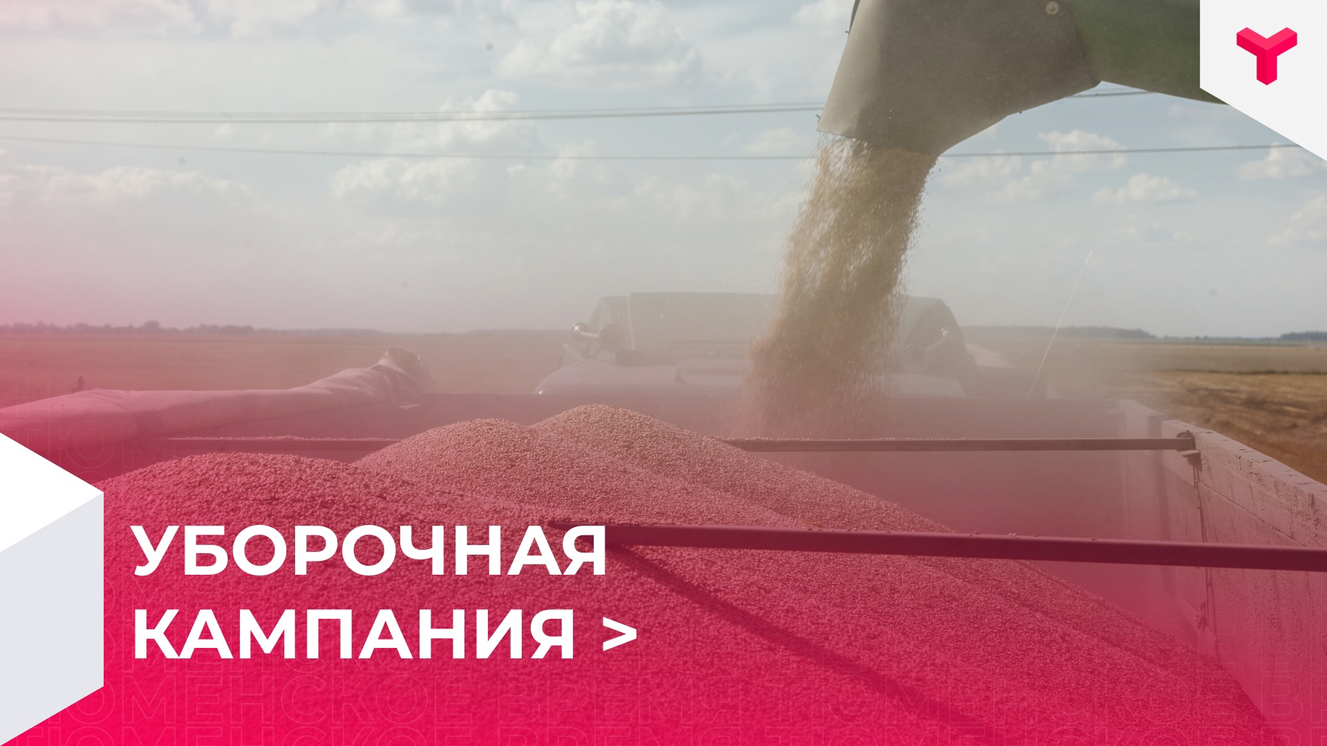 В России ожидается рекордный урожай зерна