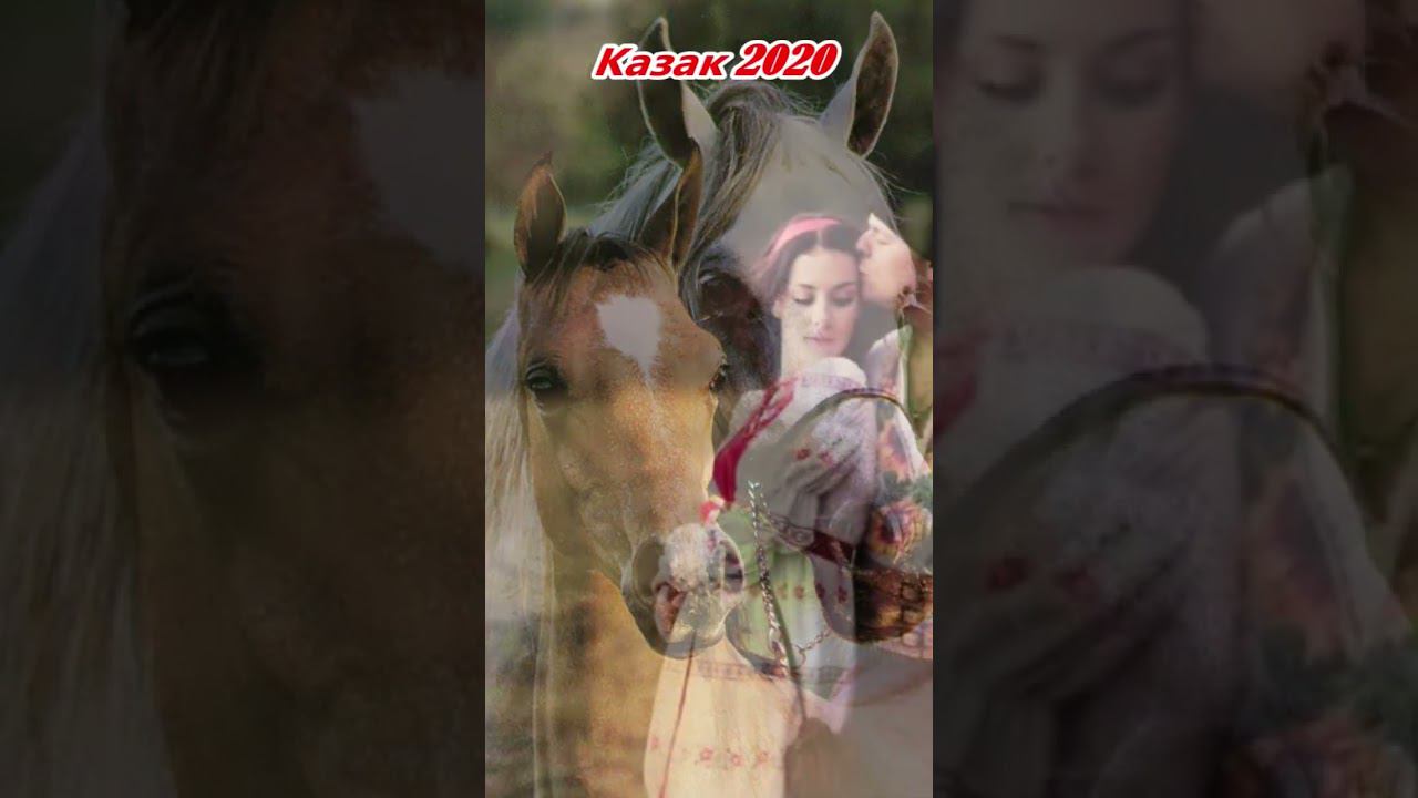 Цыганская песня "Казак 2020" #gypsy #цыганскиепесни #shorts #youtubeshorts #цыганскиетанцы