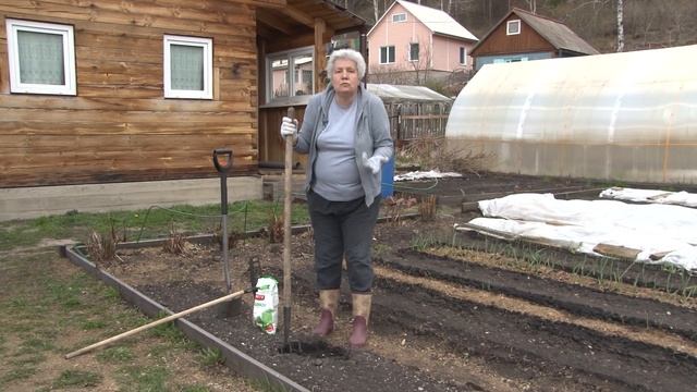 Голова садовая - Уход за почвой весной и осенью