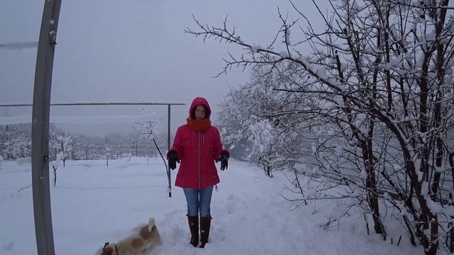 Снег на юге не редкость. Выкопали ведро моркови в конце января. Краснодарский край смотреть онлайн