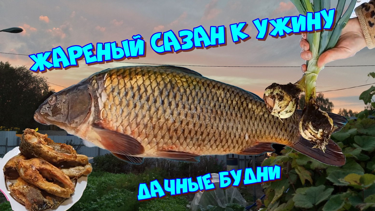 Сазан жареный к ужину. Классика 👌