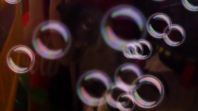 Прикол про моего котёнка смотреть онлайн