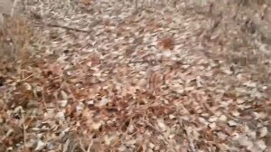 Тест лебедки T-MAX 6500. Test winch  T-MAX 6500