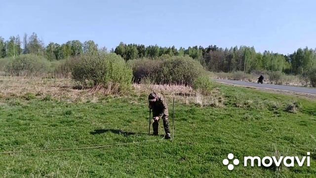 Коровы идут на пастбище, первый раз, после долгой зимы. смотреть онлайн