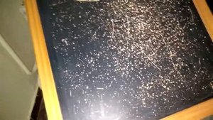 Попытка восстановления детской меловой доски