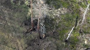 Штурм опорника и взятие пленных боевиков ВСУ в Кременском лесу/, Drops at the ukrainian militants