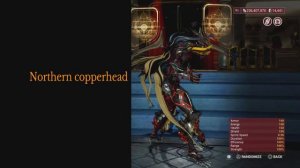 Voruna Fashion Frame Warframe Spring 2023 Art-Fashion best