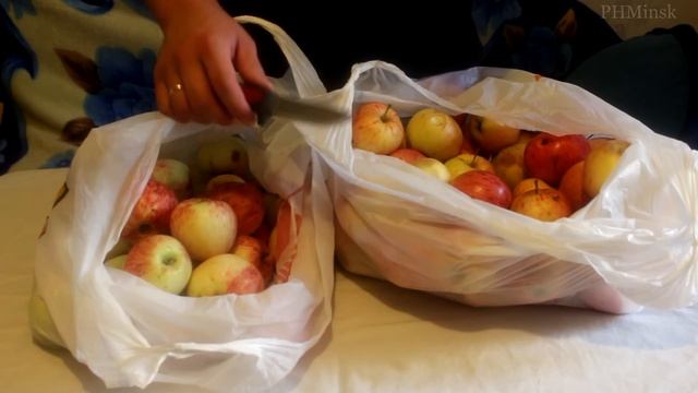 Нож Mora Pro C начало тестирования смотреть онлайн