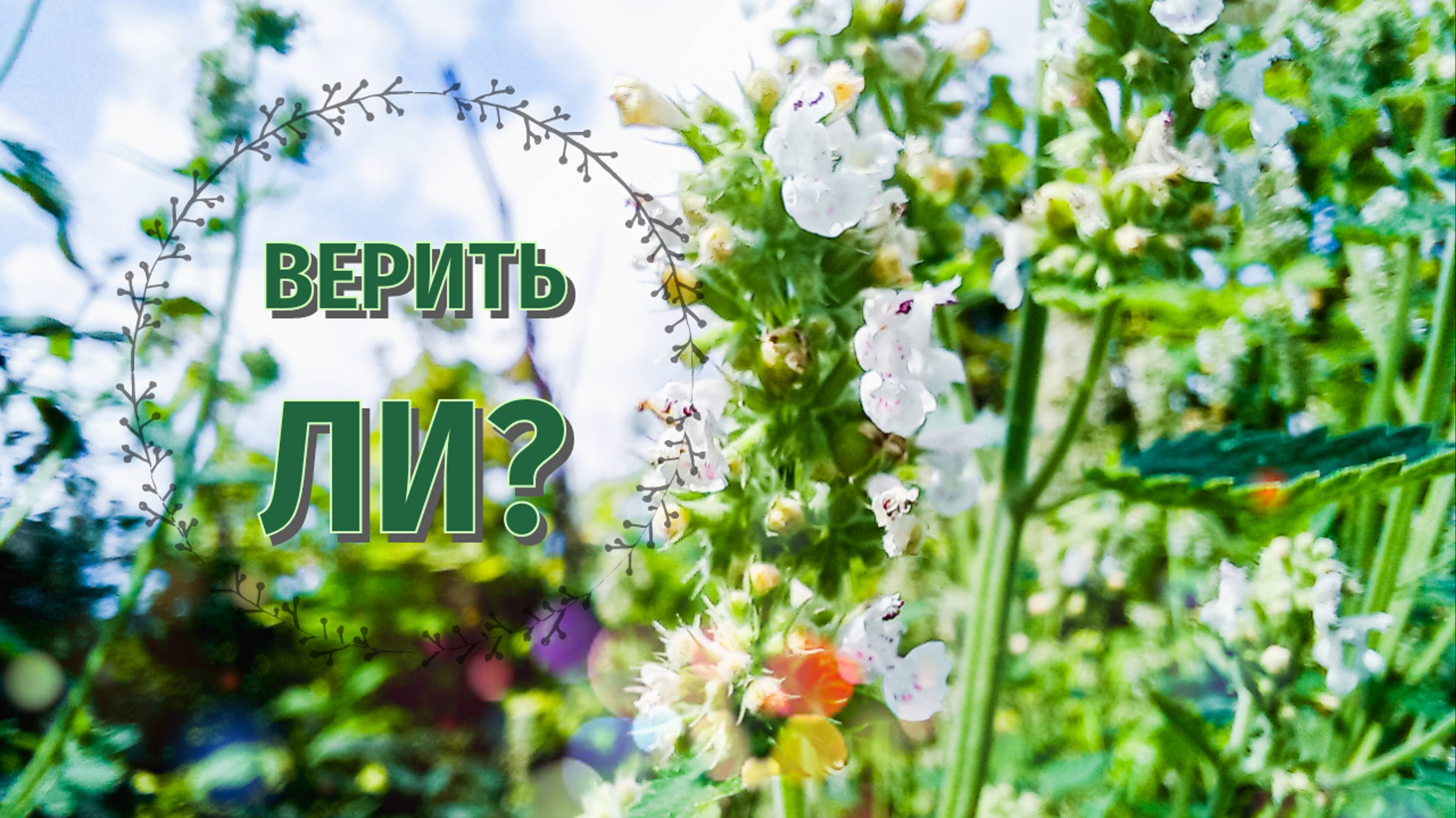 Верить ли?