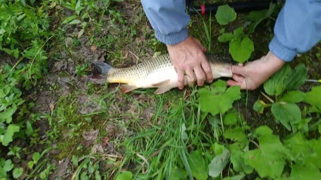 Серебро накладки lada vesta. смотреть онлайн